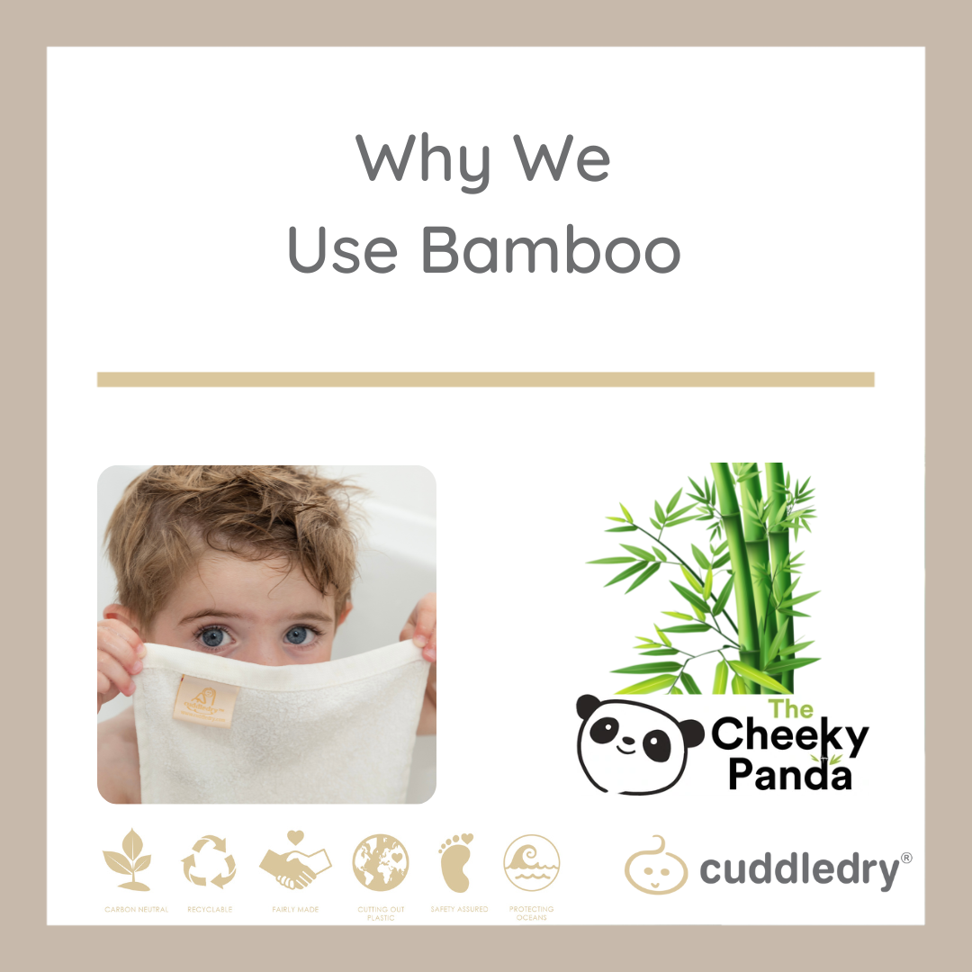 Why we Use Bamboo_Cuddledry.com